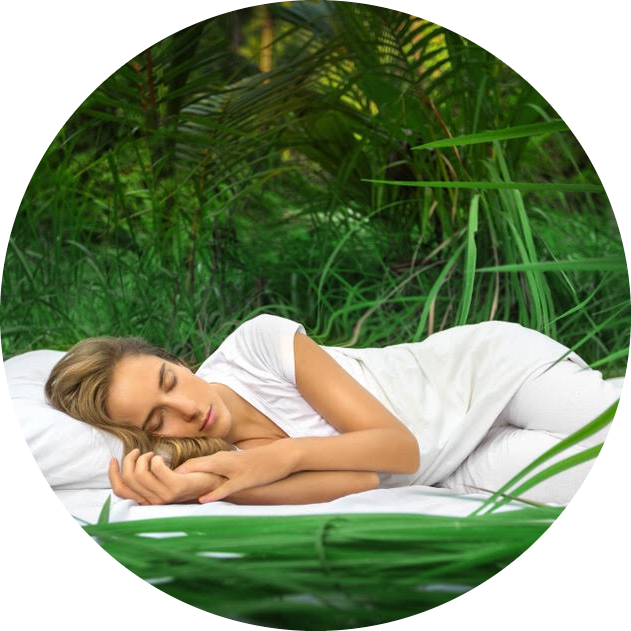 deepsleepreset https://untyingtheknots.thecwmstudio.online/wp-content/uploads/2023/02/deepsleepreset.png