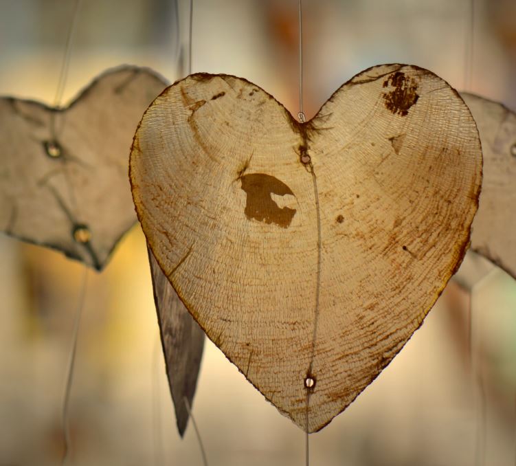 https://untyingtheknots.thecwmstudio.online/wp-content/uploads/2023/04/heart_leaf.jpg