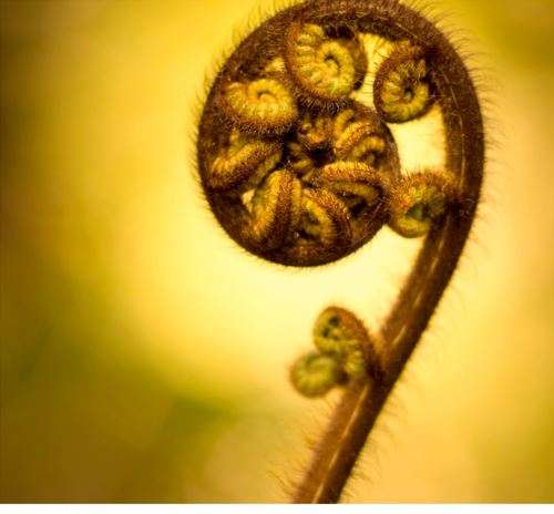 https://untyingtheknots.thecwmstudio.online/wp-content/uploads/2023/06/somatic_family_programme.jpg